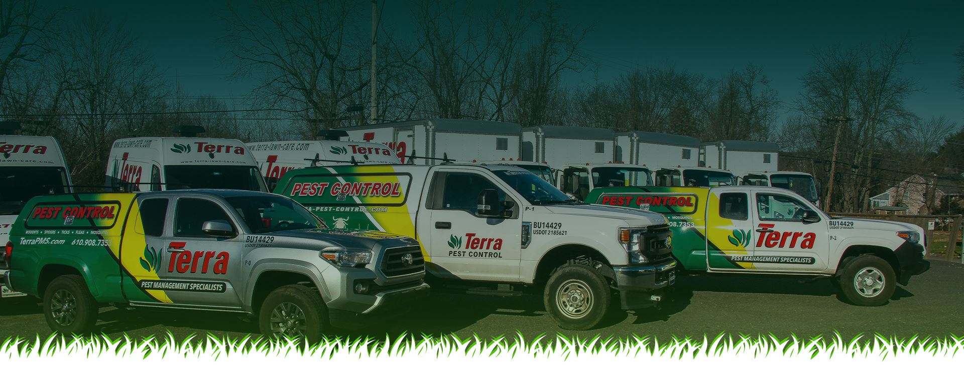 Collegeville Pest Control | Terra Pest Management Services