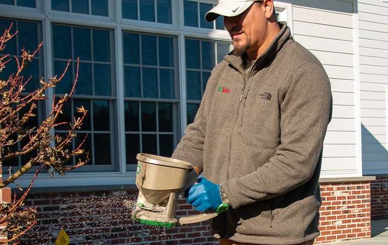 granulating pesticide across a lawn to prevent further pests